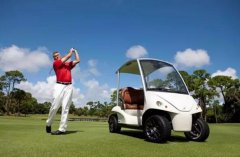 电动高尔夫球车铅酸蓄电池使用现状及维护